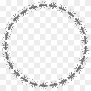 This Free Icons Png Design Of Ant Border Circle Clipart