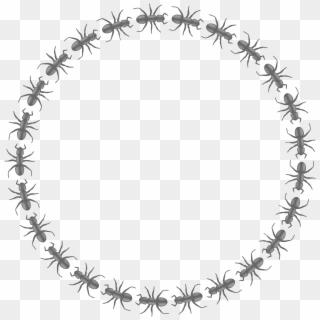 Free Circle Border Design Png Png Transparent Images Pikpng