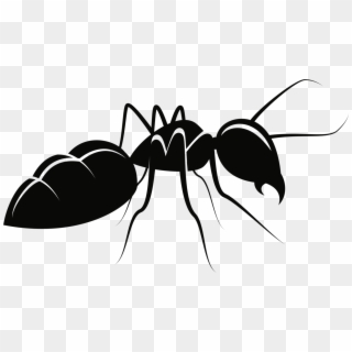 1333 X 750 6 - Drawing Of A Realistic Ant Clipart