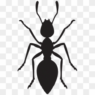 Is Your Agency An Ant - Ant Geometric Clipart