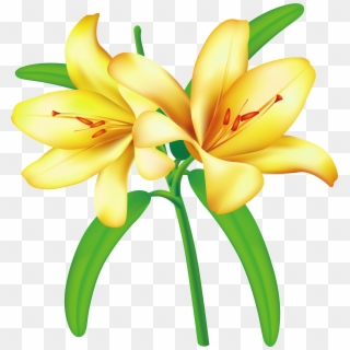 Yellow Flowers, Art Flowers, Flower Art, Flower Clipart, - Yellow Jessamine Png Transparent Png