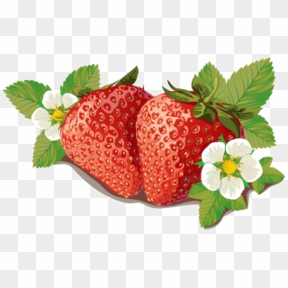 Strawberry Vector - Png Vector Strawberry Clipart