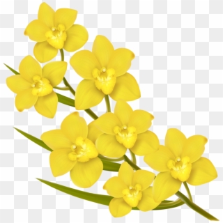 Фото, Автор Soloveika На Яндекс - Yellow Flowers Vector Png Clipart