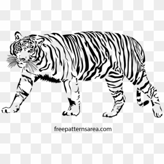 1246 X 788 9 - Bengal Tiger Clipart