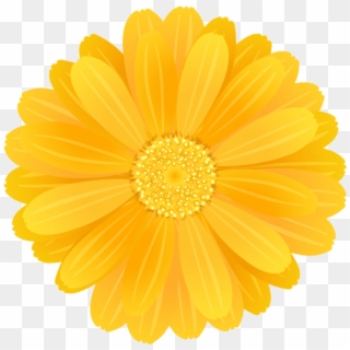 Download Flower Png Images - English Marigold Clipart