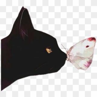 Cat Borboleta Gato Preto Black Tumblr Black Cat Ears - Frase De Freud Gatos Clipart
