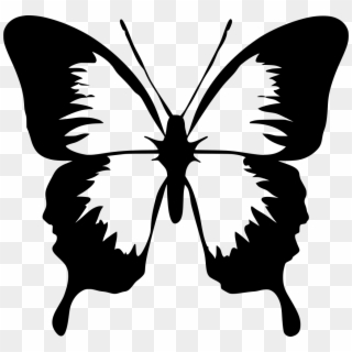 Download Png - Butterfly Clip Art Transparent Png