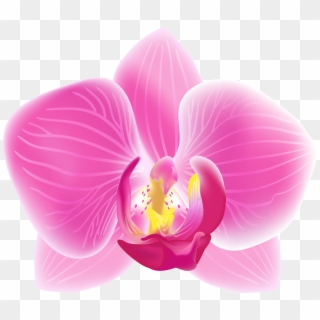 Transparent Clipart - Png Download