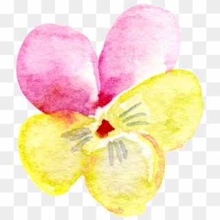 Pink Yellow Flower Transparent Decorative - Orchid Clipart