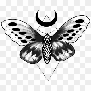 Moth Tattoo Design - Designs Moth Png Tattoo Clipart
