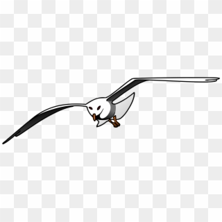 Seagull Clipart - Png Download