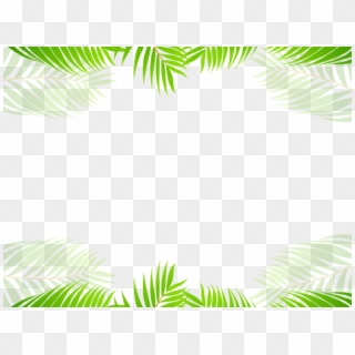 Tropics Clipart Tropical Leaf - Palm Tree - Png Download