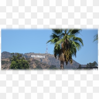 Of Course I Had No Idea What Adventures I Was Going - Hollywood Sign Clipart