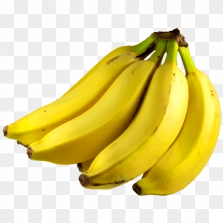 Free Png Bunch Of Bananas Png - Bunch Of Bananas Png Clipart