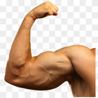Big Arm Muscles Clipart