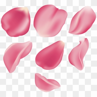 Free Png Download Rose Petal Set Pink Transparent Png Clipart