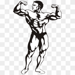 Fitness Clipart Black And White Library - Body Builder Clip Art - Png Download