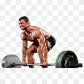 Muscle Transform - Bodybuilding Clipart