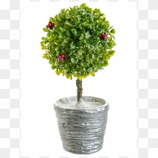 11" Icy Boxwood Single Ball Topiary W/silver Glitter - Centrepiece Clipart
