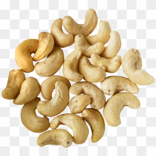 Cashew Nut Image Download Clipart
