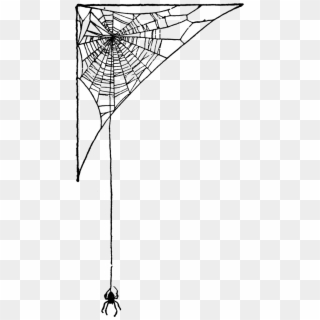 Spider-web - Streetball Clipart