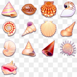 13 Free Icons, Icon Search Engine - Sea Shell Vector Png Clipart