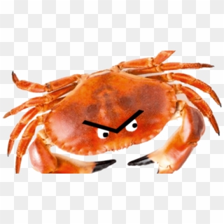 Com/wp - Freshwater Crab Clipart