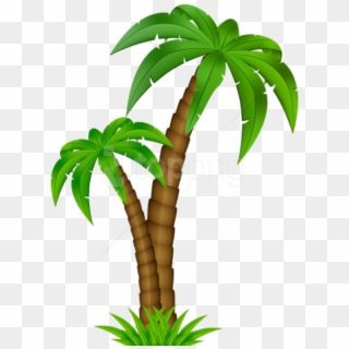 Free Png Download Palm Cartoon Png Images Background - Cartoon Transparent Background Palm Tree Png Clipart