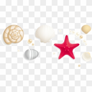 Jpg Free Download Seashell Stock Photography Royalty - Starfish Pearl Png Clipart