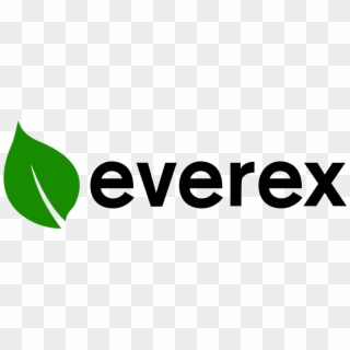 Everex Clipart
