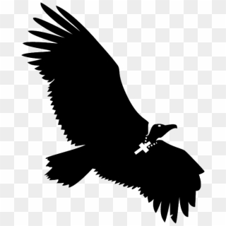 #save Nepal From Missionariespic - Black Buzzard Wings Spread Clipart