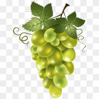 Яндекс - Фотки - Red Seedless Grapes Clip Art - Png Download