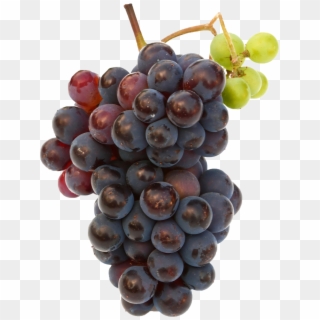Black Grapes Png Free Commercial Use Image - Grape Hd Clipart