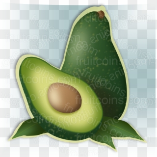 Avocado - Illustration Clipart