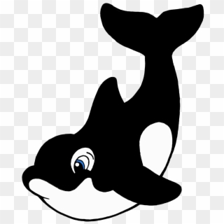Free Download Killer Whale Cartoon Drawing Clip Art - Cute Killer Whale Cartoon - Png Download