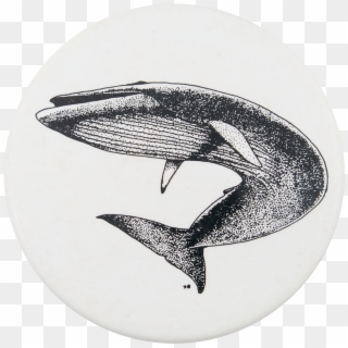 Blue Whale Png Black And White Clipart