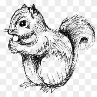 Drawn Squirrel Totem Pole - Squirrel Black And White Png Clipart