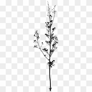 Branches Png - Black And White Flowers On Branch Clipart