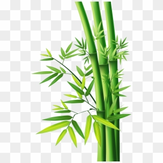 Bamboo Png Clipart