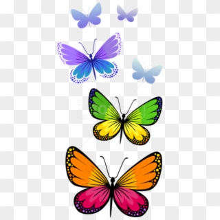 Free Png Download Butterflies Composition Clipart Png - Png Format Butterfly Clipart Png Transparent Png