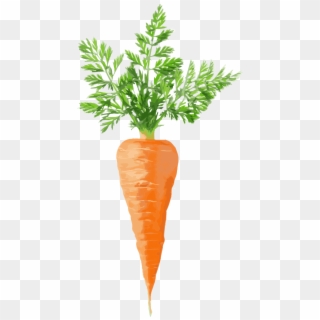 Carrot - Donald Trump As A Carrot Clipart