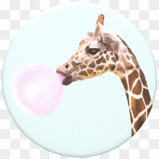 Bubblegum Giraffe, Popsockets - Giraffe Bubblegum Popsocket Clipart