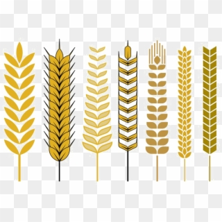 Wheat Vector Free Png - Wheat Stalk Vector Png Clipart