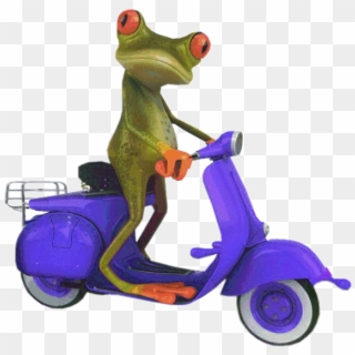 Blue Scooter Frog - Frog On Scooter Png Clipart