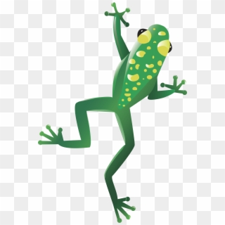 Frog Clipart