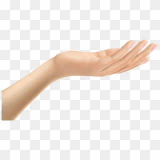 Download Female Hand Clipart Transparent Background - Arm Transparent - Png Download