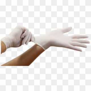 Gloves Png Images Free Download - Surgical Gloves Clipart