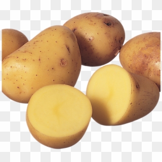 556 X 556 1 - Yukon Gold Potato Clipart