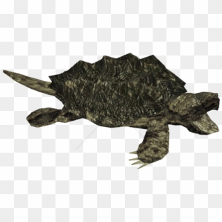Free Png Snapping Turtle Png Image With Transparent - Alligator Snapping Turtle Clipart