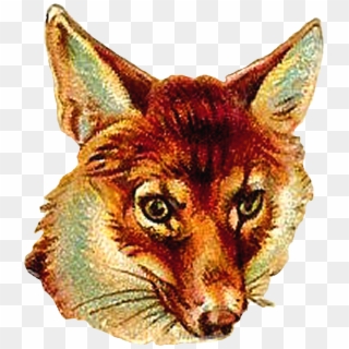 Digital Fox Clip Art Download Of Animal Portrait - Vintage Fox Clip Art - Png Download